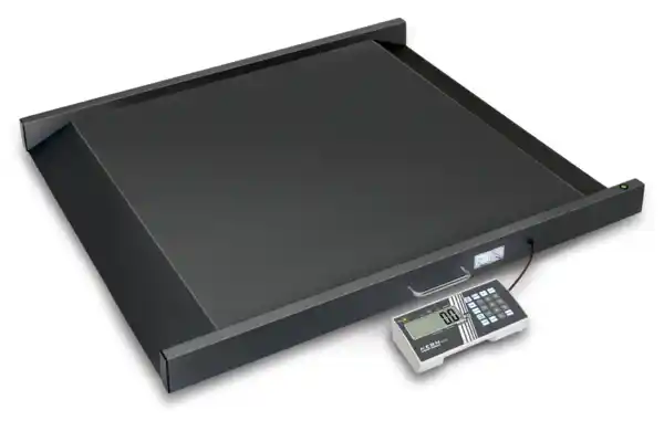 Wheelchair platform scale MWS 300K100M